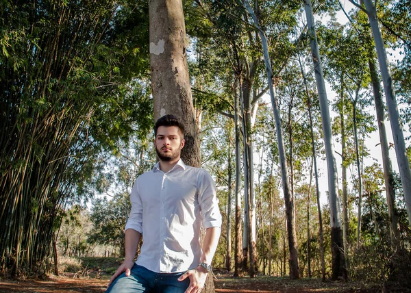 Ağaçta sinirli çocuk