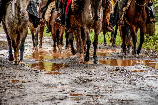 Gauchos Riding Carrying Creole Flame Remember Victory War Rags Tradition — Stock Photo, Image