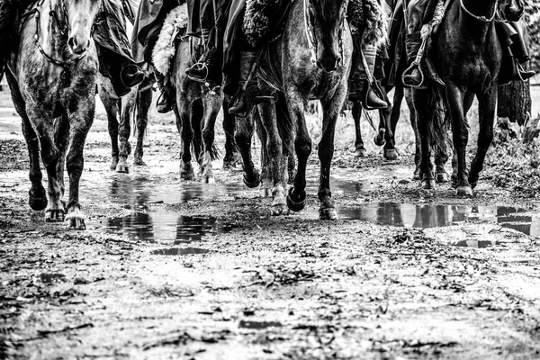 Gauchos Montando Llevando Llama Criolla Para Recordar Victoria Guerra Trapos — Foto de Stock