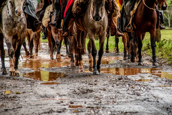 Gauchos Cavalcando Portando Fiamma Creola Ricordare Vittoria Nella Guerra Stracci — Foto Stock