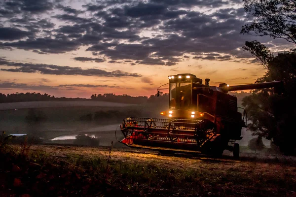 A harvester harvesting soybeans at sunset.