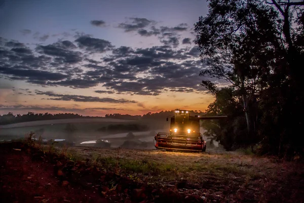 Una Mietitrice Che Raccoglie Soia Tramonto — Foto Stock