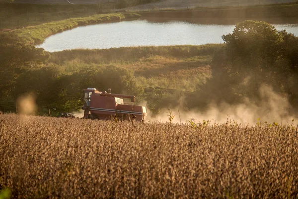 Soya kadar malzeme çekme Birleştirme hasat.