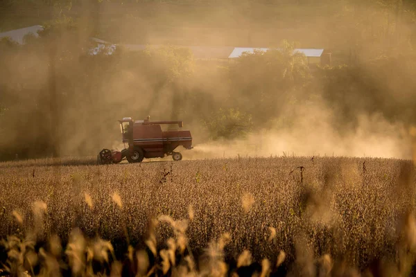 Soya kadar malzeme çekme Birleştirme hasat.