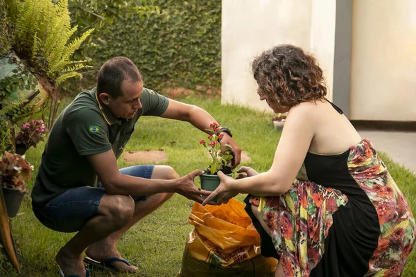Bir çift bahçelerine yeni bir çiçek dikiyor..