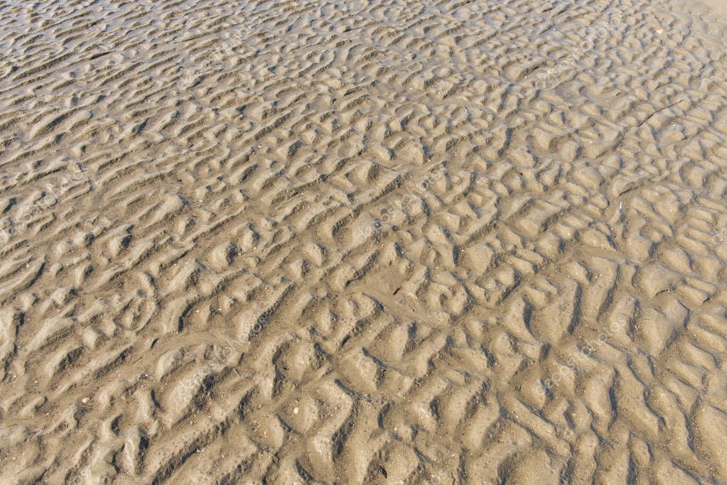 Wavy Pattern Sandy Ocean Floor Low Tide Stock Photo C Visfineart