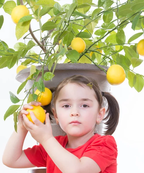 Girl with Lemon Tree — Stock Photo, Image