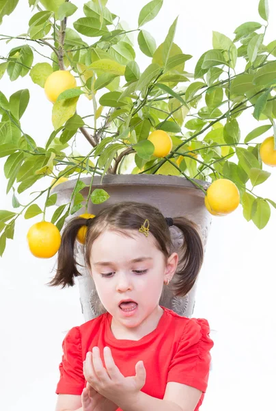 Limon ağacı ile kız — Stok fotoğraf