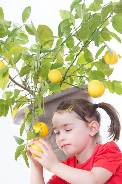 Girl with Lemon Tree — Stock Photo, Image