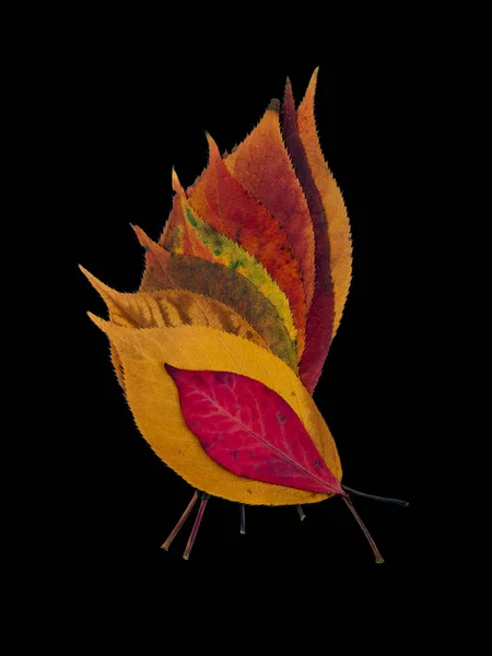 Fall Leaves — Stock Photo, Image