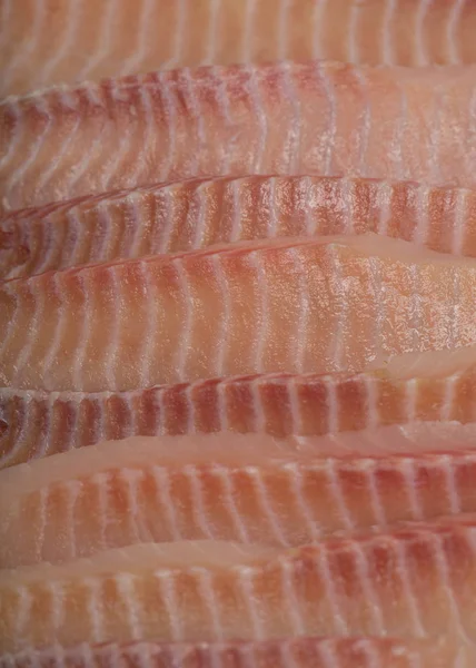 신선한 생선 포 세트 — 스톡 사진