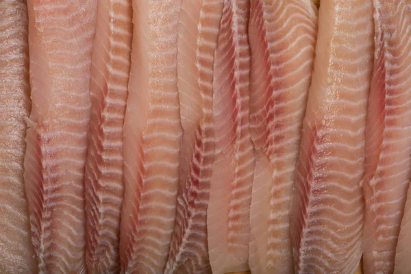 Set van verse visfilets — Stockfoto
