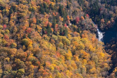 Glassmine Falls Manzarası Blue Ridge Parkway boyunca