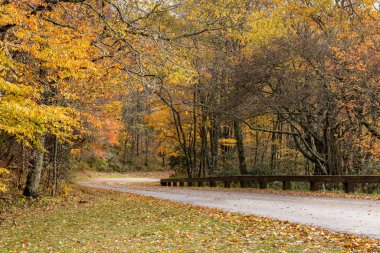 Ulu Smoky Dağları Sonbaharda Ulusal Park Yolu
