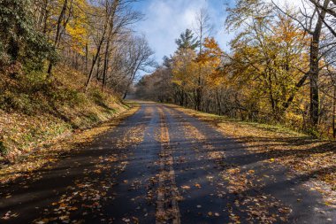 Ulu Smoky Dağları Sonbaharda Ulusal Park Yolu