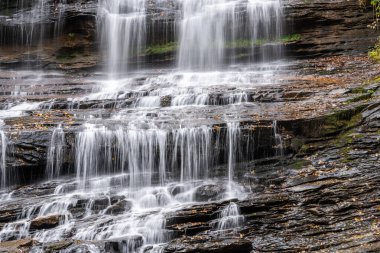 Pearsons Falls Şelalesi Görünümü