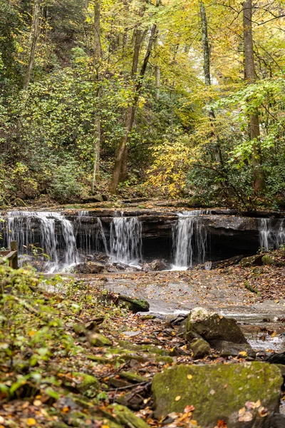 Pearsons Falls Şelalesi Görünümü — Stok fotoğraf