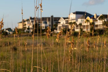 Wild Dunes Resort 'taki Ocean View Evleri