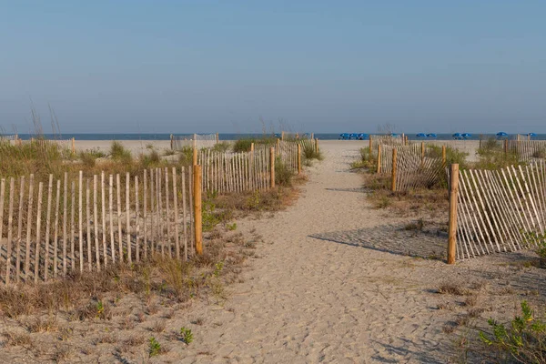 Barrier Fence Along Barrier Sand Dunes