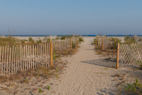Барьерный забор вдоль барьерных песчаных дюн
