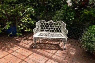 Asheville, Kuzey Carolina 'daki Biltmore Estates' teki bahçe konservatuarının iç kısımlarındaki tropikal bitkiler arasında sıralanır..