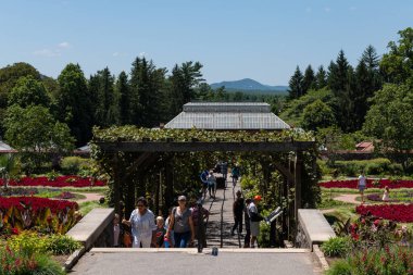 Asheville, Kuzey Carolina - 24 Temmuz 2019 - Biltmore konservatuar bahçelerinde güzel çiçekler.