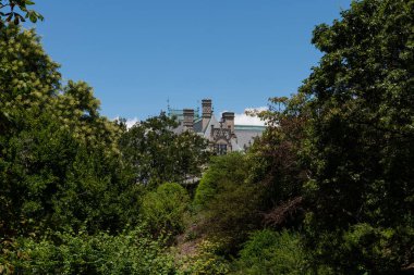 Asheville, Kuzey Carolina - 24 Temmuz 2019 - Biltmore Malikanesi cephesinde heykel ve mimari ayrıntılar.