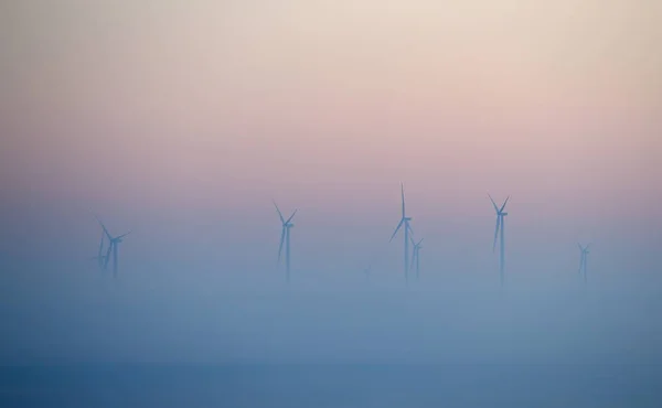 Ветряные турбины на поле в туманное утро — стоковое фото