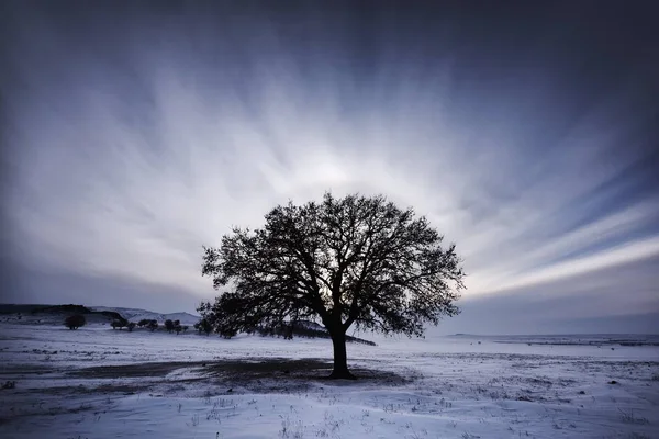 Halo effect around the sun in winter — Stock Photo, Image