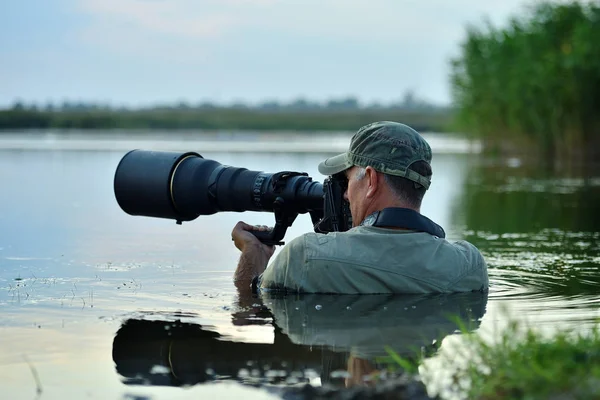 Wildlife photographer standing in the water — Stock Photo, Image