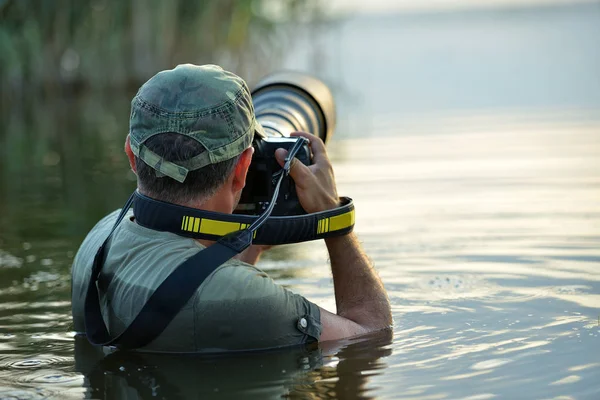 Fotografer satwa liar berdiri di dalam air — Stok Foto