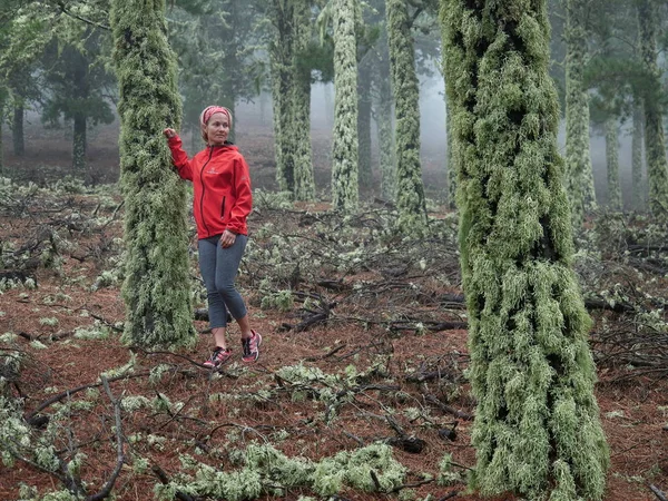 Femme explorant la forêt verte — Photo