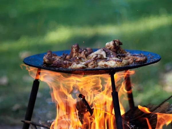 Barbecue — Foto Stock