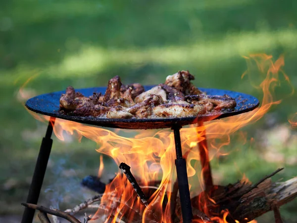 Barbecue en plein air en camp d'été — Photo