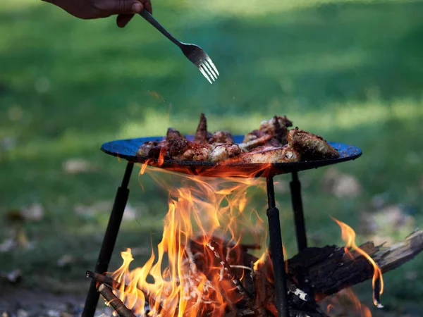 Barbeque — Stock Photo, Image