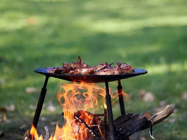 Barbekü — Stok fotoğraf