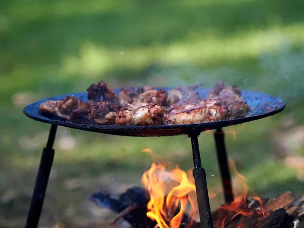 Barbecue — Foto Stock