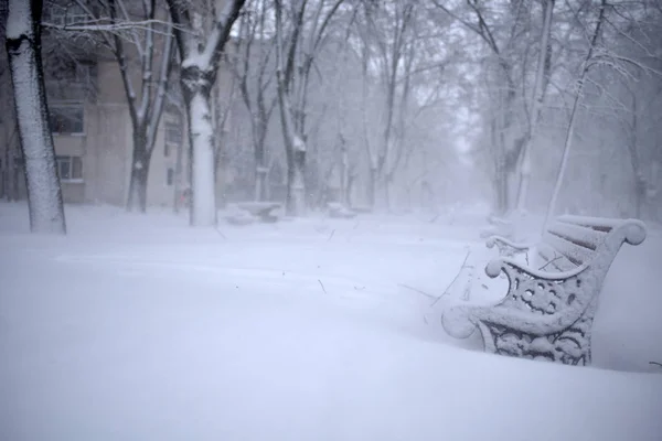 Paisagem de inverno no parque — Fotografia de Stock