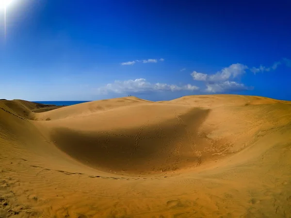 Dunas de arena en la playa —  Fotos de Stock