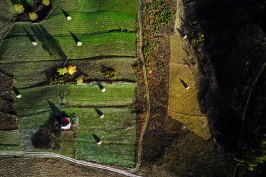 Karpatlar dağlar kırsal havadan görünümü güzel sonbahar hava, Romanya