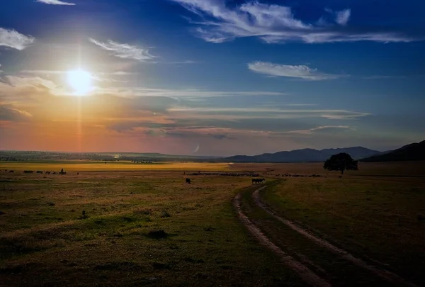 Hermoso atardecer de verano sobre el campo en Dobrogea, Rumania —  Fotos de Stock