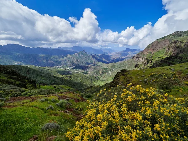 Berglandschap Gran Canaria Eiland Canarische Eilanden Spanje — Stockfoto