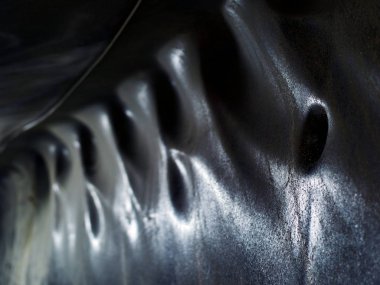 muhteşem tuz madeni