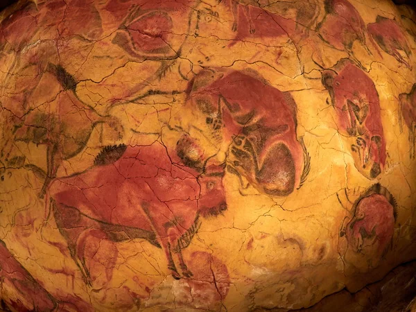 Рисунки Потолка Пещеры Альтамира Сантильяна Дель Мар Кантелла Испания — стоковое фото