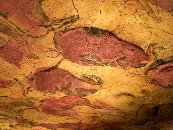 サンティリャーナ カンタブリア スペインのアルタミラの天井から図面洞窟します — ストック写真