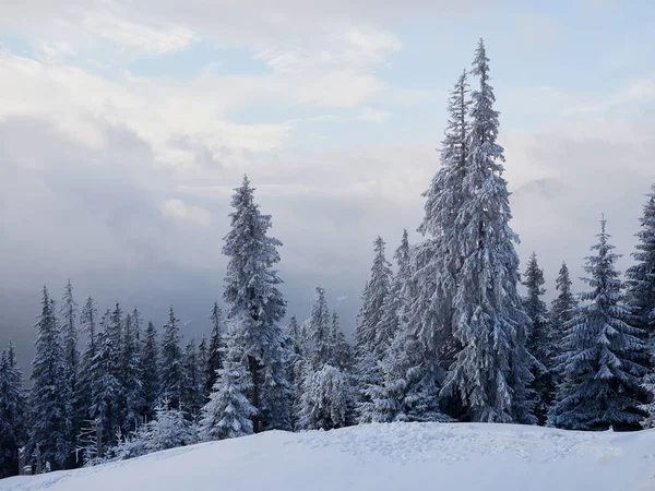 Winter landscape with trees and mountains — Stock Photo, Image