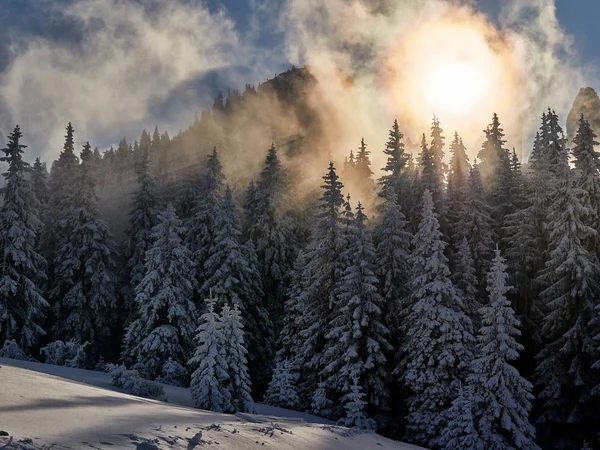 Winter landscape with trees and mountains — Stock Photo, Image