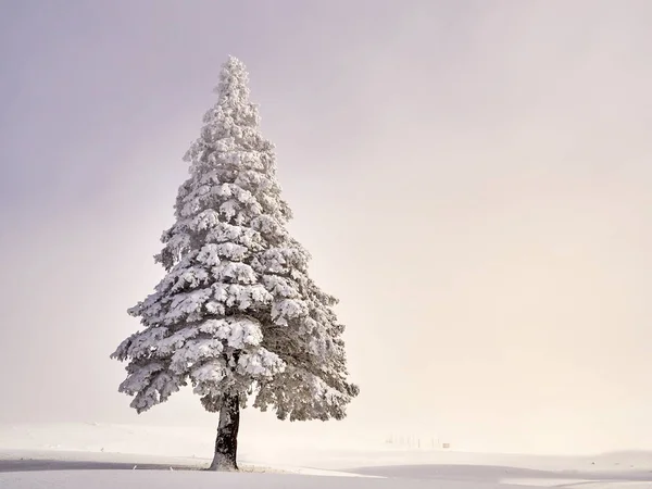 Paisaje invernal con árboles y montañas — Foto de Stock