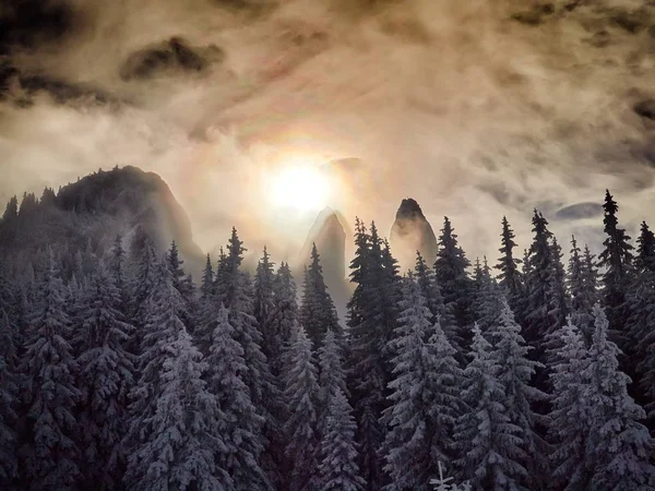 Paysage hivernal avec arbres et montagnes — Photo