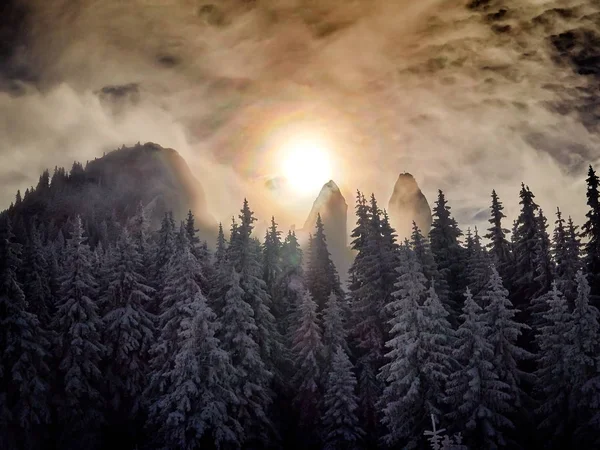 Зимний пейзаж с деревьями и горами — стоковое фото